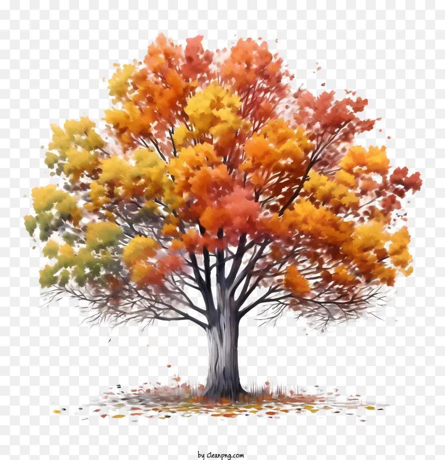 albero in autunno - 