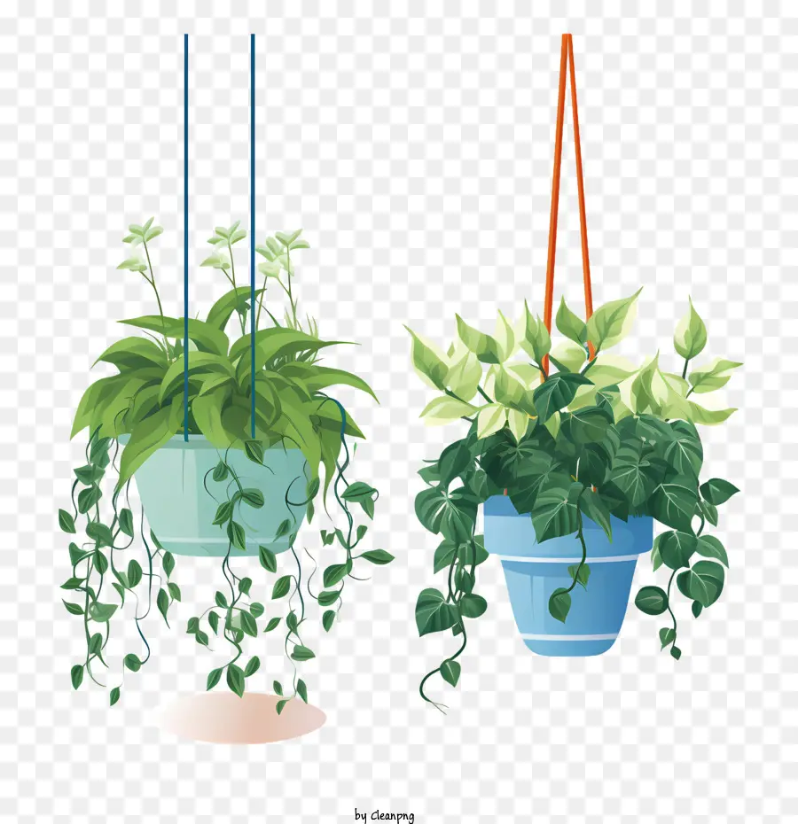 Hängende Pflanze mit Topfpflanze hängen grünes Topf - 