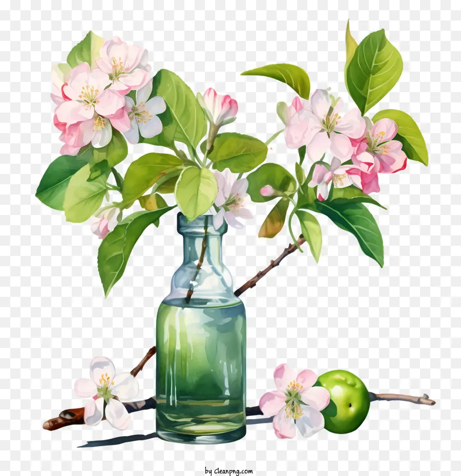 apple blossom apple blossoms spring vase watercolor