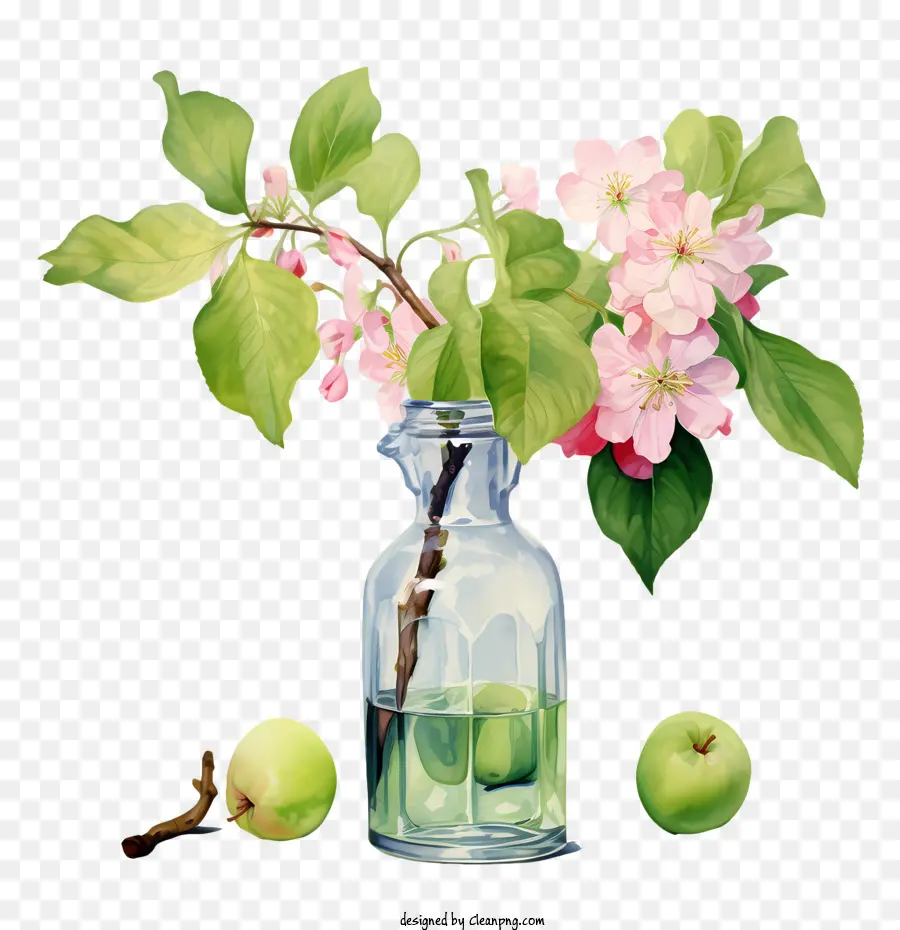 apple blossom apple blossoms glass vase green apples blossoming trees