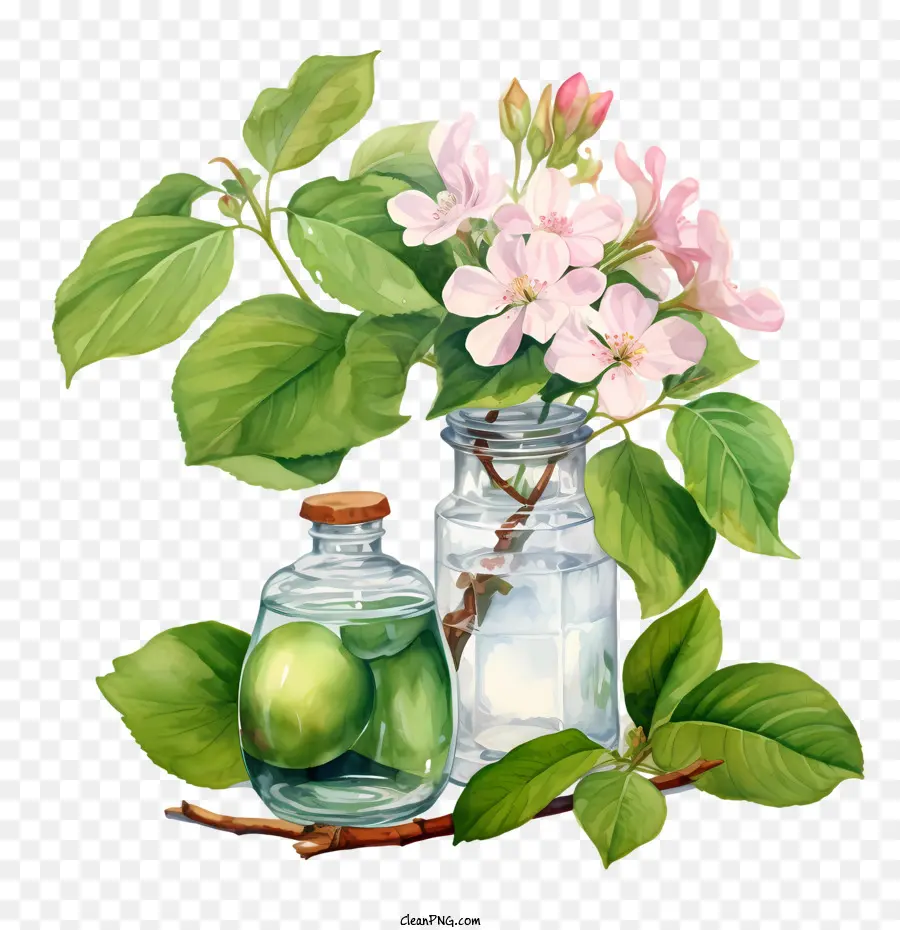 foglie d'acqua del vaso di fiori fiorite di mela - 
