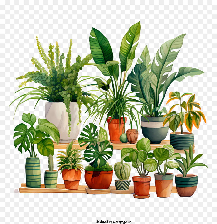 Hauspflanzer Wertschätzungstag Pflanze Indoor Topf -Anordnung - 
