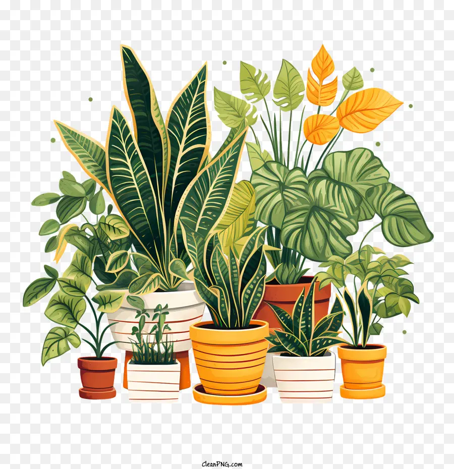 Hauspflanze Wertschätzungstag Pflanzer grüne Pflanzen Topfpflanzen Garten - 