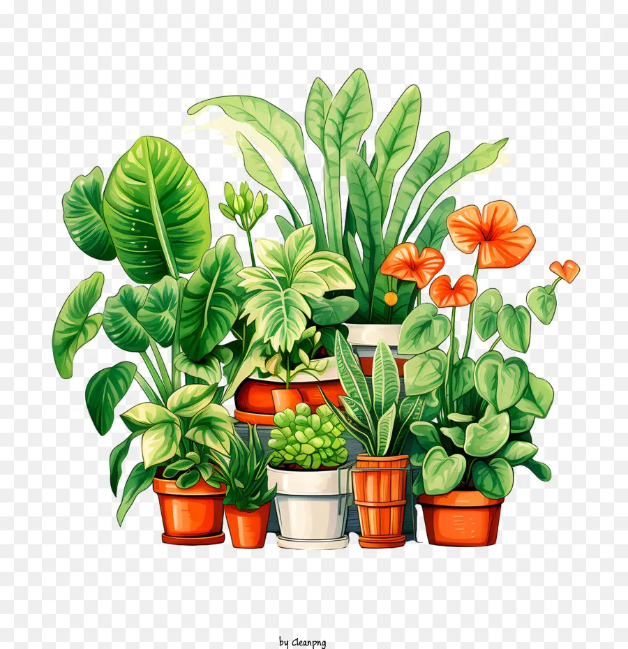 Giorno di apprezzamento delle piante da casa piante tropicali giardino vegetazione piante in vaso - 