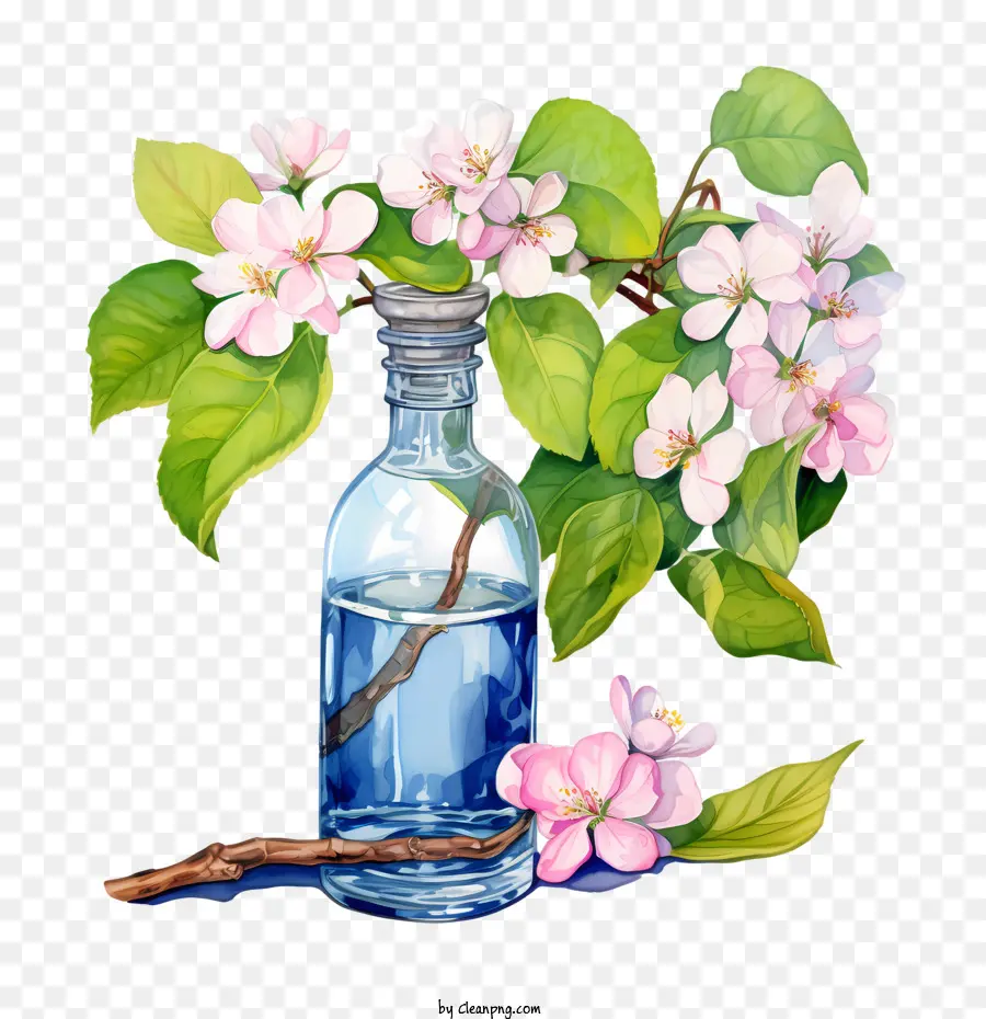 apple blossom apple blossoms watercolor painting springtime flower blossoms