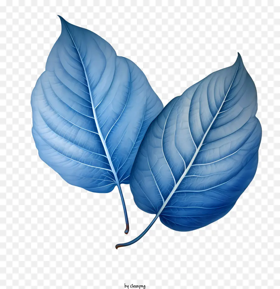 foglie blu foglie naturale naturale - 
