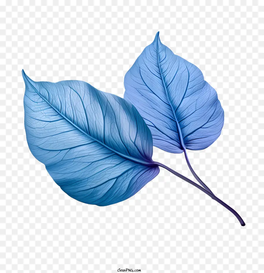 foglie blu foglia blu astratto naturale - 