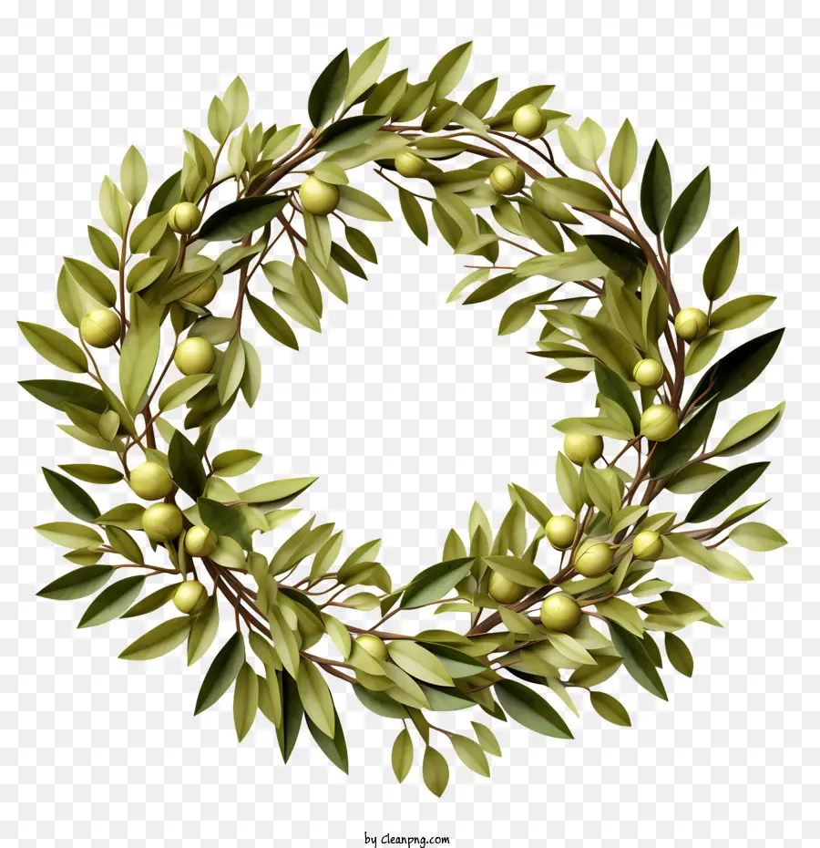 olive wreath wreath green leaves olives black background