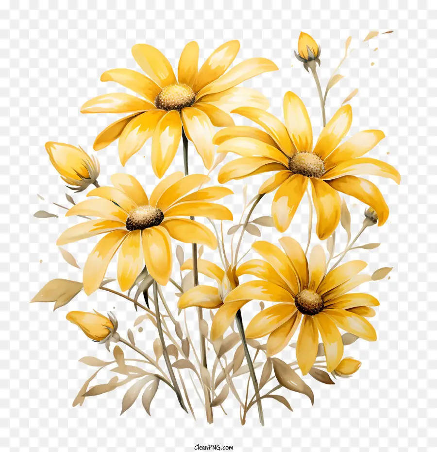 gelbe Blüten Gänseblümchen gelbe Blumen Bouquet - 