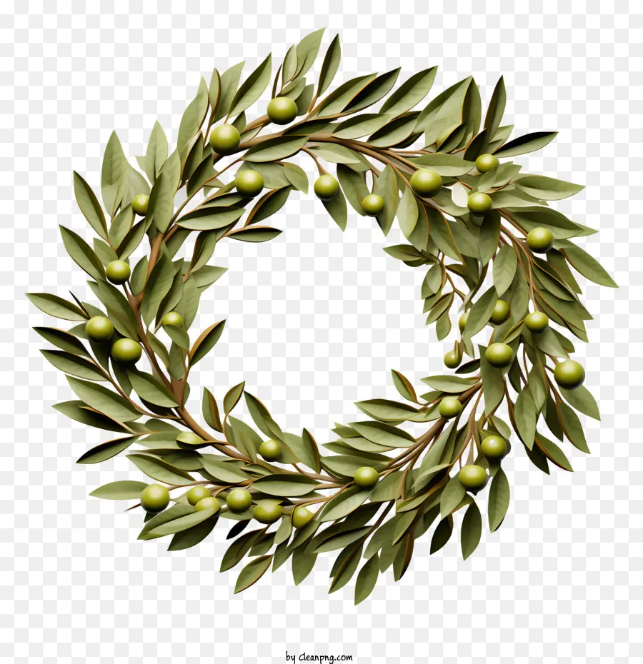 olive wreath wreath green leaves fruit black background