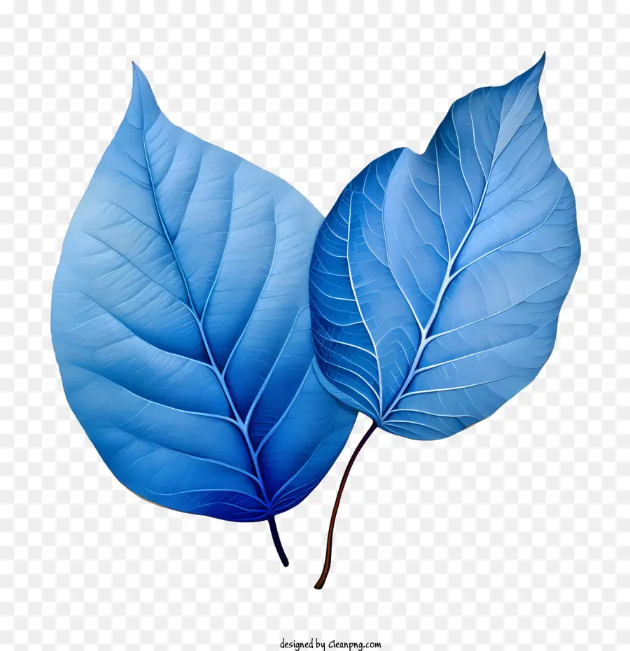 Blaue Blätter img> Blatt Naturblau Aquarell - 