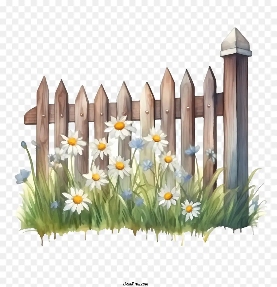 wooden garden fence garden flowers daisies grass