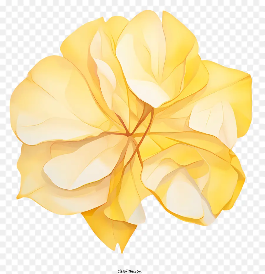 gelbe Blume - 