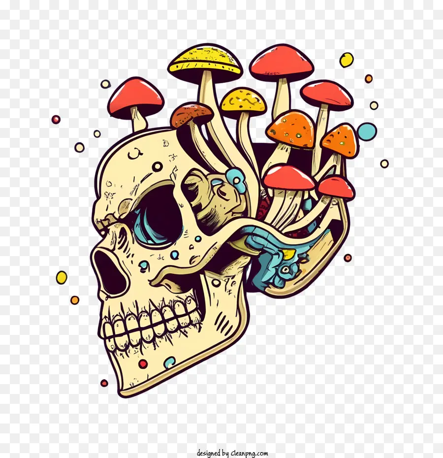 skull mushrooms skull mushrooms psychedelic hallucinogenic