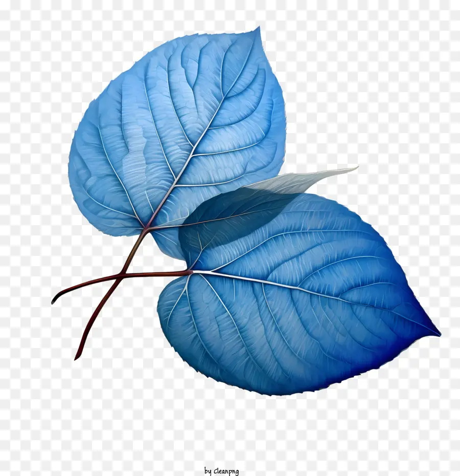 Blaue Blätter Blätter blauer Aquarell botanisch - 