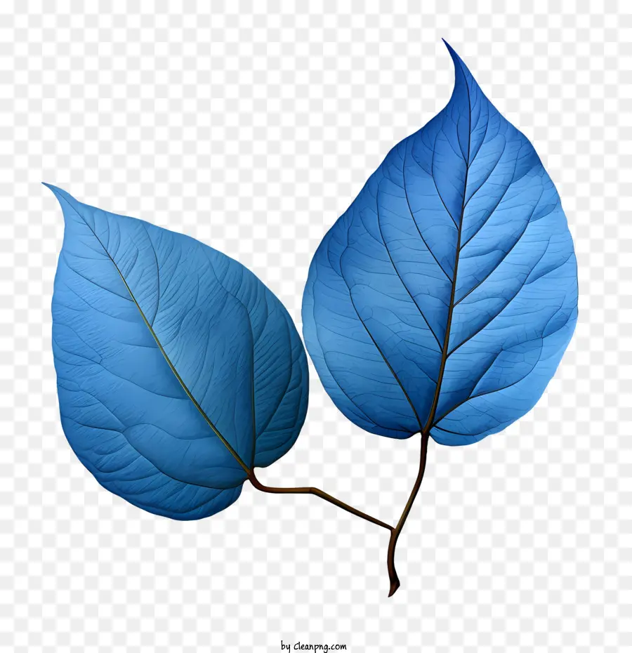 Blaue Blätter blaue Wasserreflexionen Blätter - 