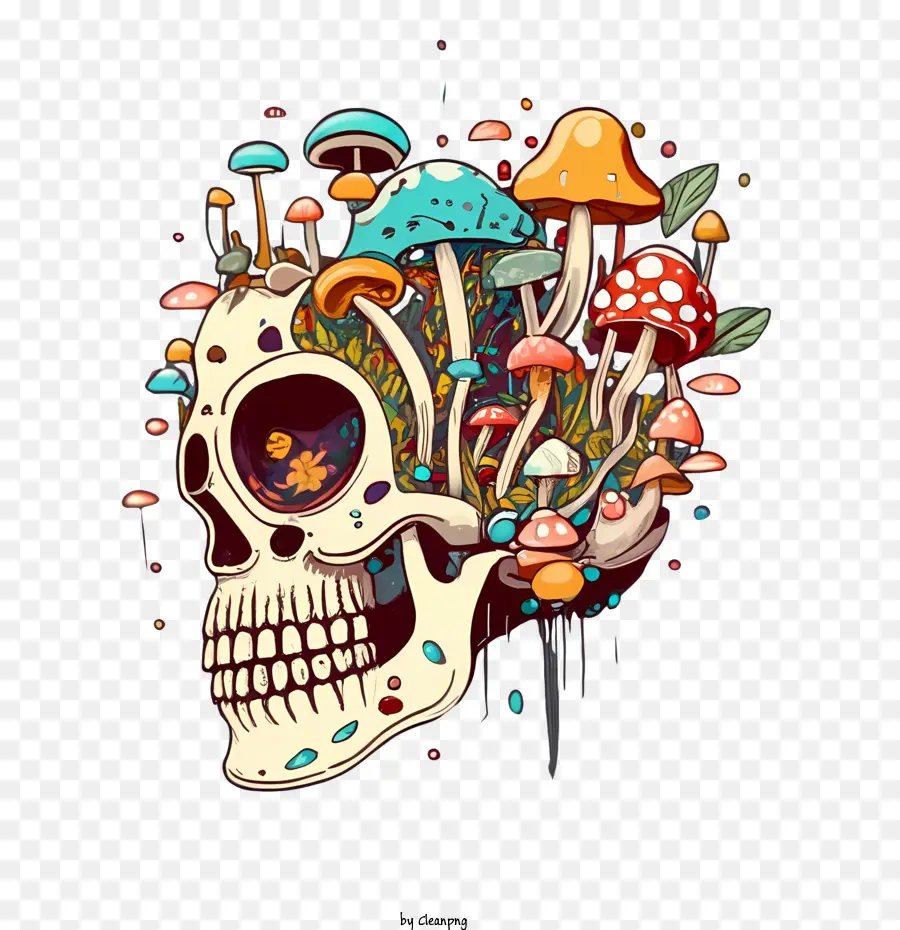 Fungo di funghi cranio Mushrooms Abstract colorato - 