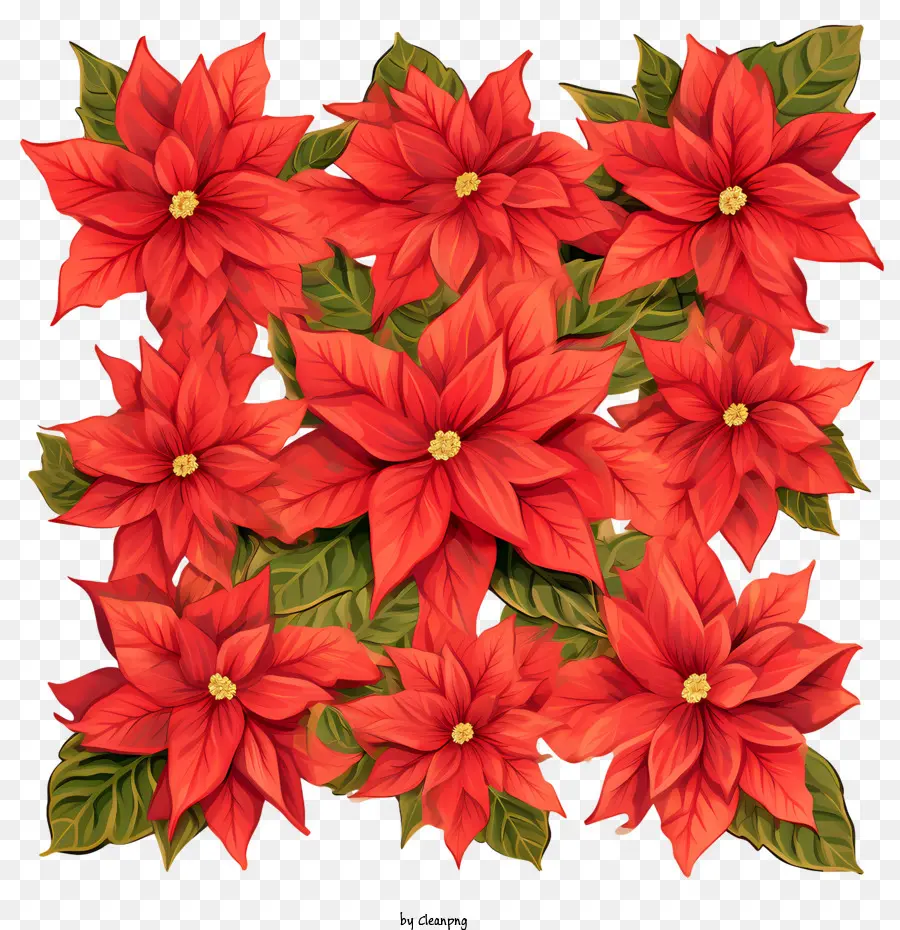 Weihnachtsstern Blumenkranz rote Poinettias Urlaubsdekorationen Blumen Arrangement - 