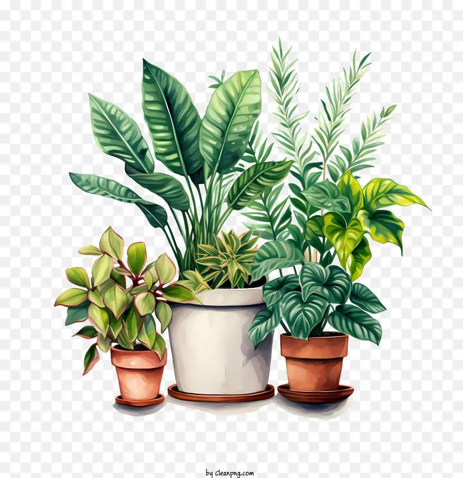 Giorno di apprezzamento della casa per la casa piante in vaso piante da interno vegetazione - 