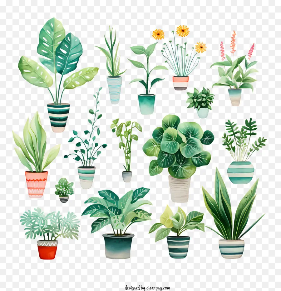 houseplant appreciation day potted plants greenery garden watercolor