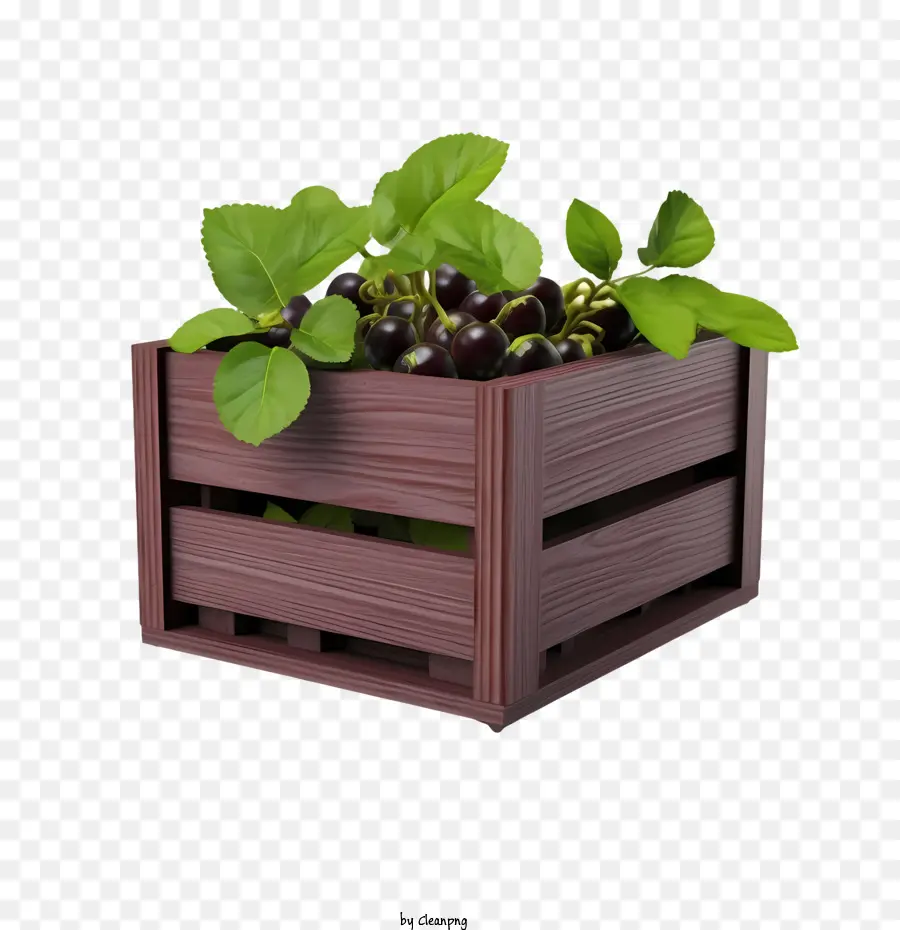 Purm Garden Crate Piante in legno - 