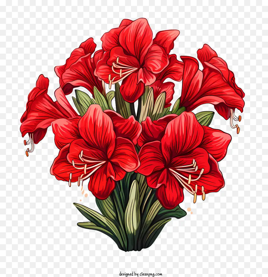 Amaryllis Flower Bouquet Red Flowers Floral - 