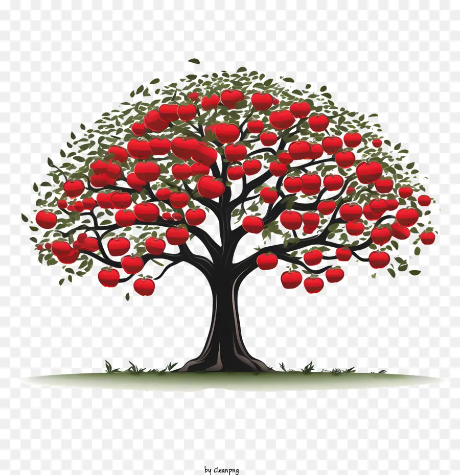 Apfelbaum - 