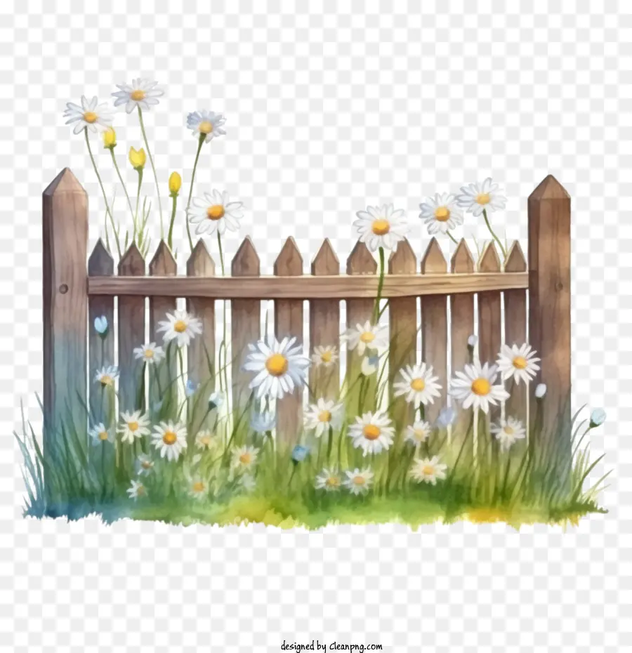 wooden garden fence daisies flowers grass wooden fence