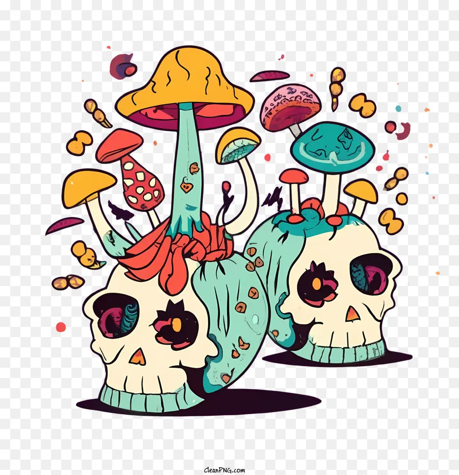 skull mushrooms skull mushroom psychedelic drugs