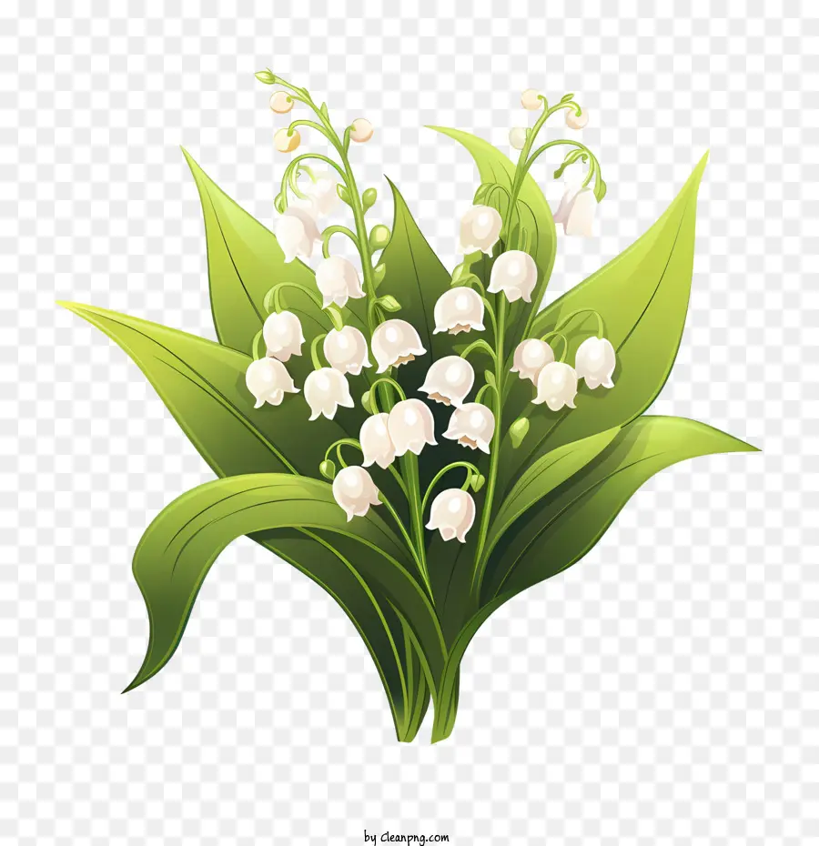 Lily of the Valley Lily of the Valley Flower Green White - 