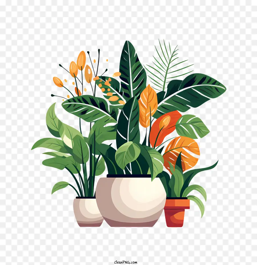 houseplant appreciation day plant potted plant tropical plant greenery