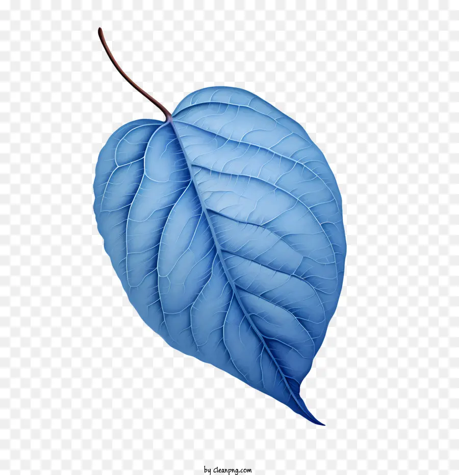 blaue Blätter Blatt Blaue Pflanze Natur - 