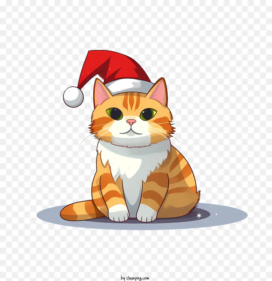 Weihnachten Katze - 