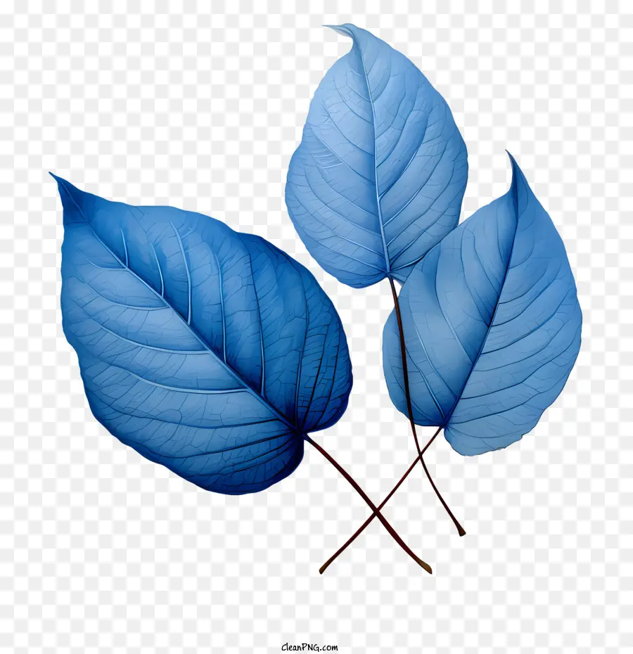 foglie blu foglie d'acqua ombre blu - 