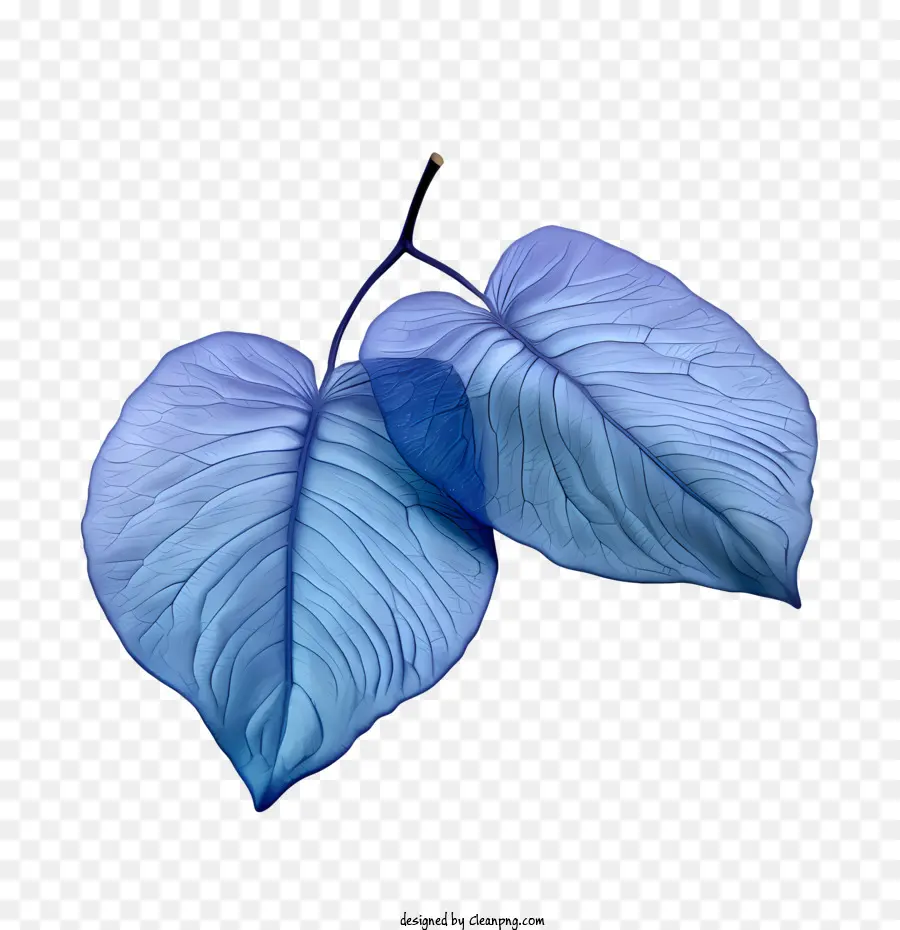 foglie blu foglia pianta blu naturale - 