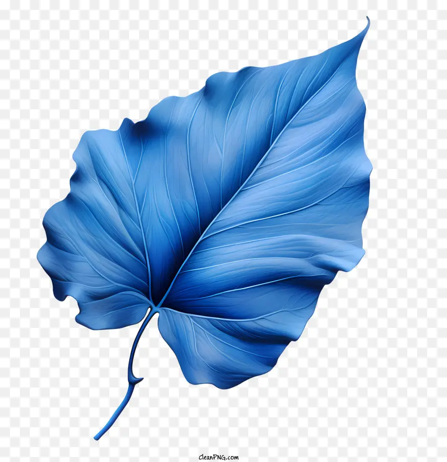 blaue Blätter Blatt Blau Aquarell Natural - 
