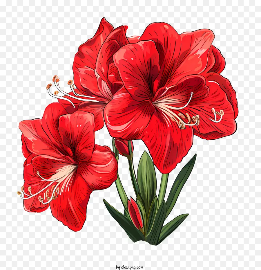 fiore rosso - 