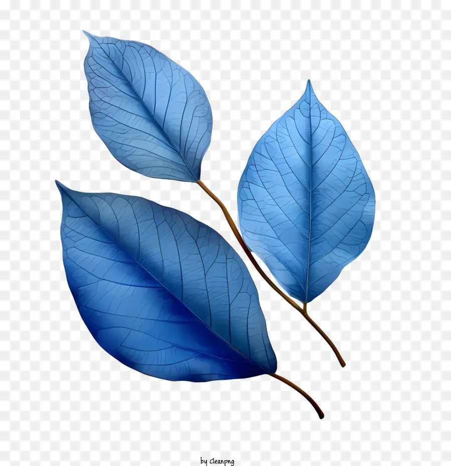 Blaue Blätter Blätterblätter Aquarell Naturumgebung - 