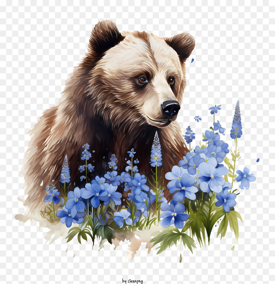 Grizzlybärenbären Wildtiere Braunbärtiere - 