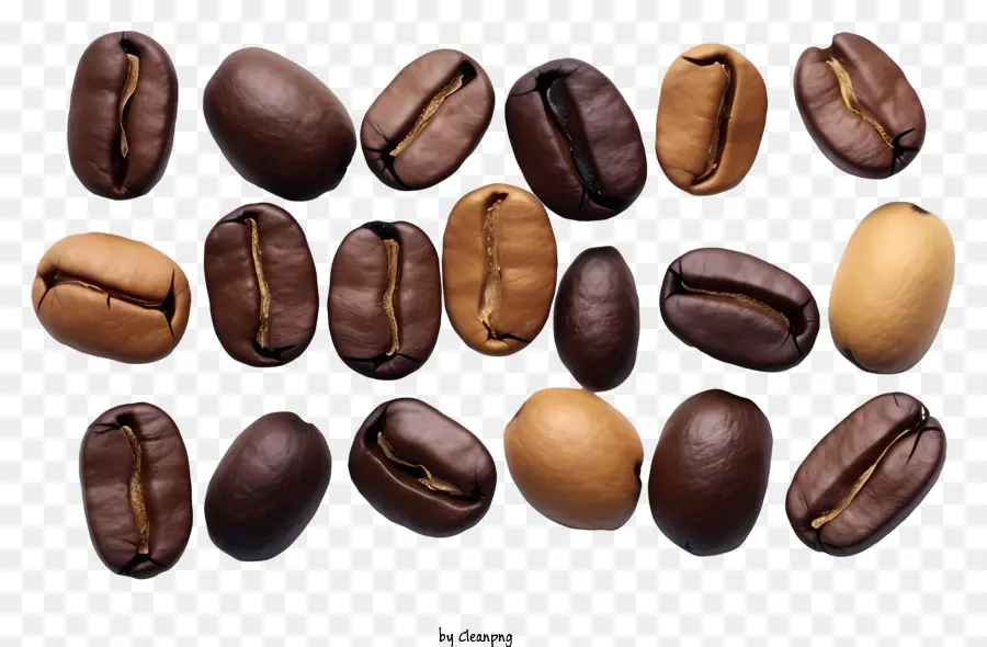 Kaffeebohnen - Symmetrische Anordnung von Kaffeebohnen auf schwarzem Hintergrund