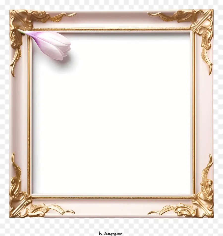 floralen Rahmen - Weißer Rahmen mit rosa Tulpe auf Gold