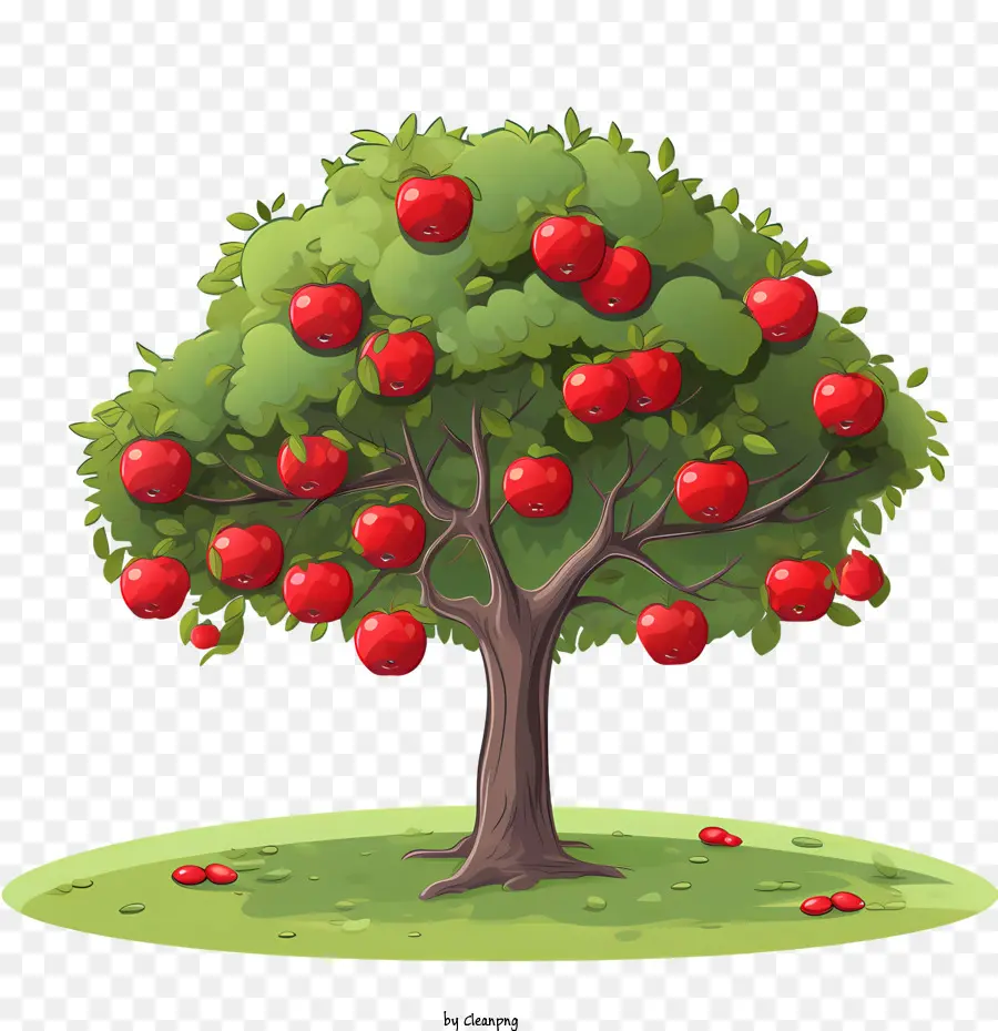 frutta mele mele albero frutta abbondante - 