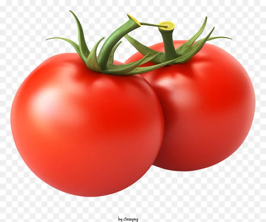 Tomaten rote Tomatengrün Tomate Zwei Tomaten Tomatenfarben - Rote Tomate sitzt auf einer grünen Tomate auf schwarzem Hintergrund