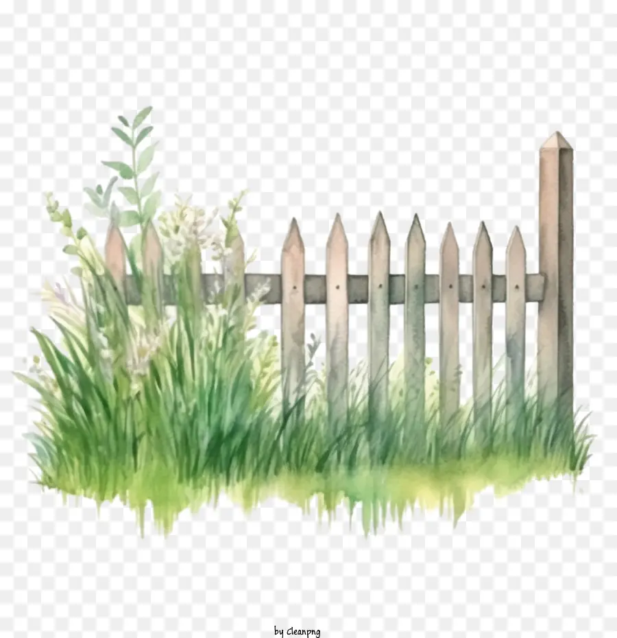 recinzione da giardino in legno Fiori del giardino verde vegetazione - 