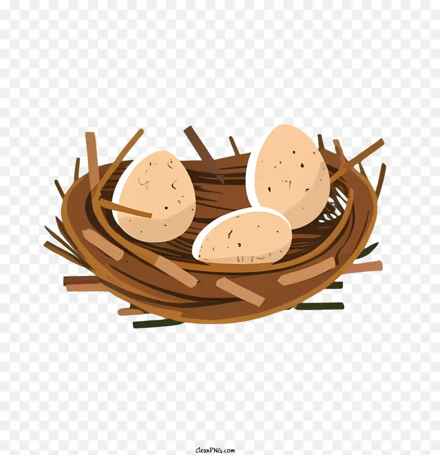 cartoon eggs eggs nest wire wood