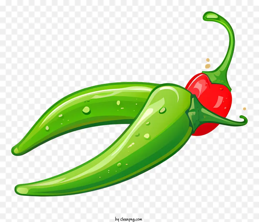 Grüne Chilischoten rote Chili -Pfeffer -Wassertropfen frische Paprika glänzende Paprika - Nahaufnahme frischer grüner Paprika mit roter Scheibe