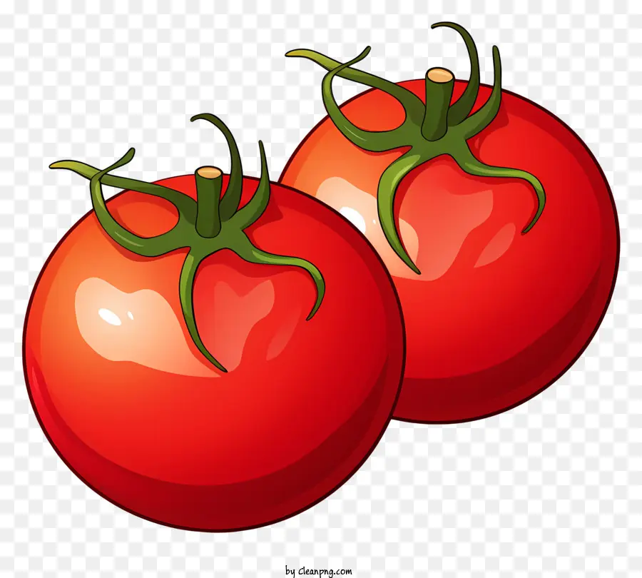 Tomaten roter runder grüner Stiel Schwarz und Weiß - Schwarz -Weiß -Bild von zwei runden Tomaten