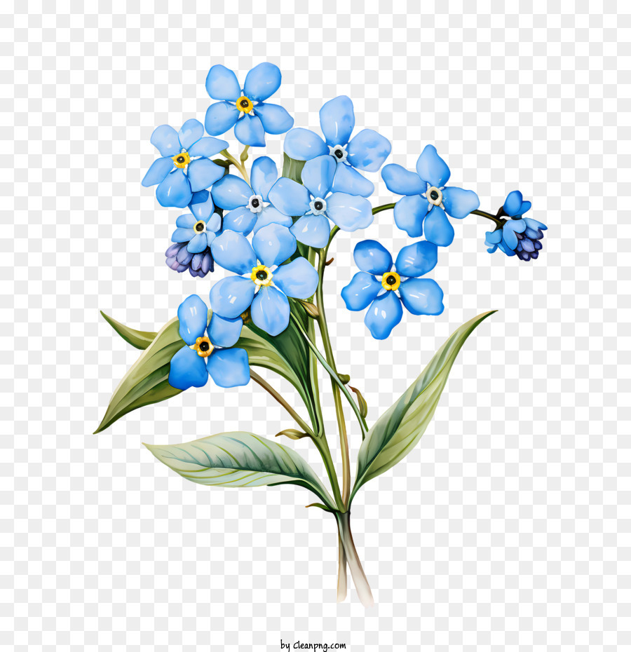 Flower Watercolor Blue Flowers