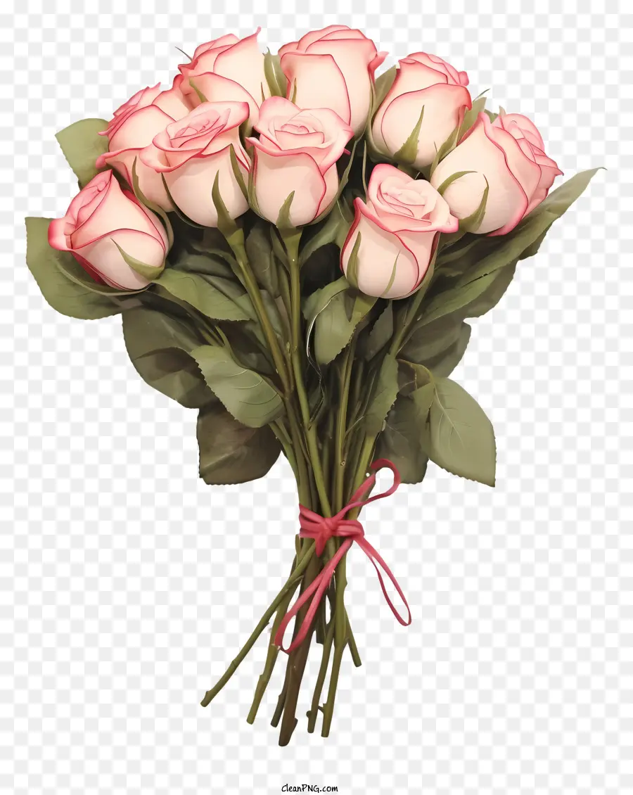 hoa hồng - Hoa hồng hồng được sắp xếp theo hình xoắn ốc với ruy băng