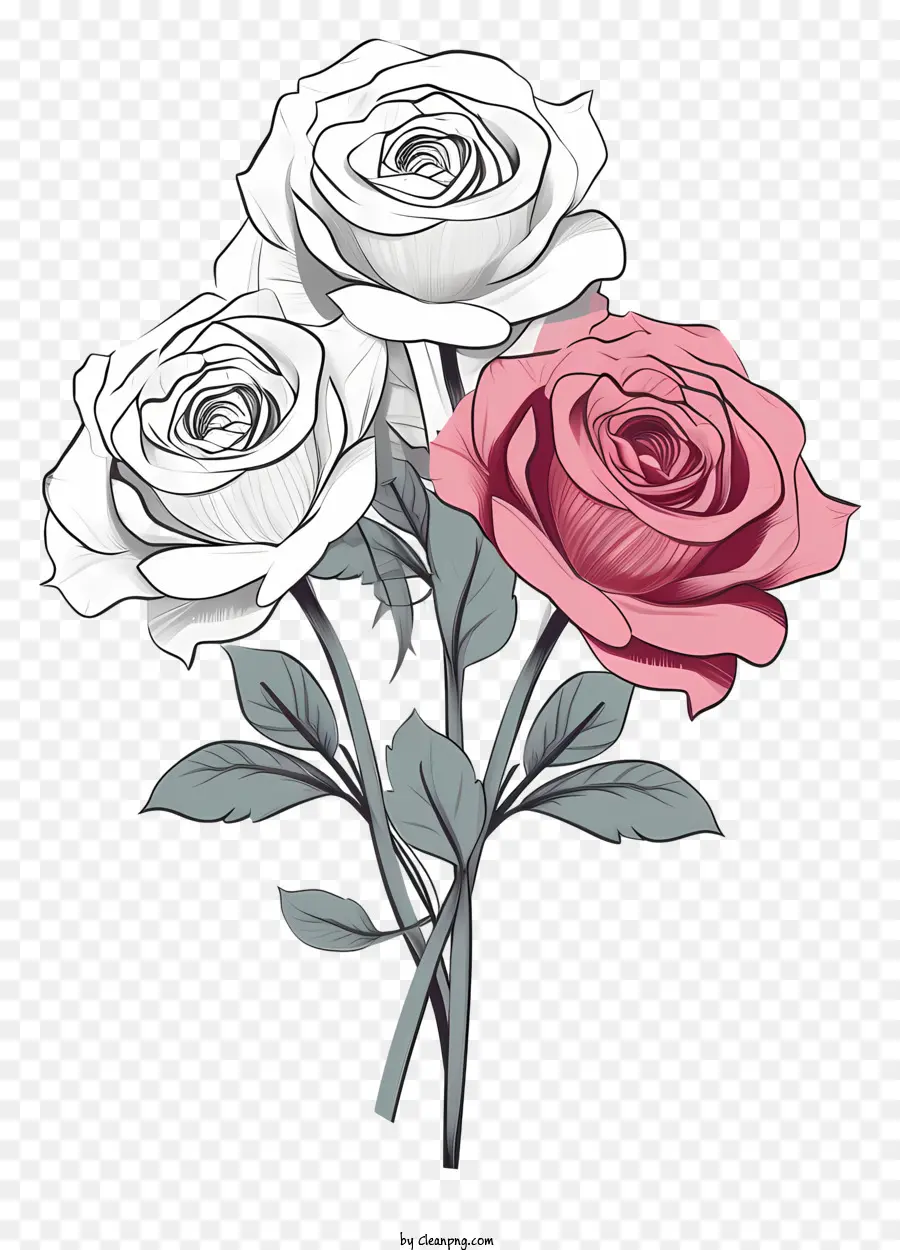 Bouquet Roses màu hồng trắng - Bouquet thực tế của hoa hồng màu hồng, đỏ và trắng